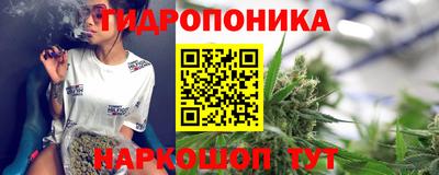 сатива Дубна